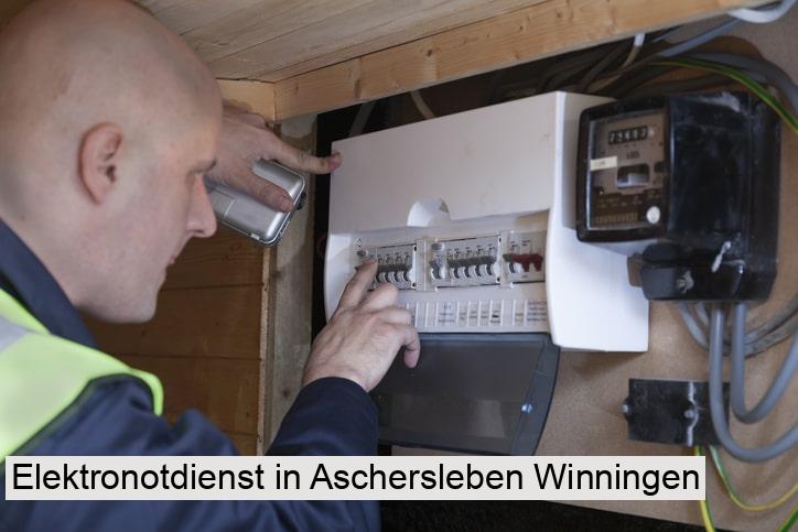 Elektronotdienst in Aschersleben Winningen